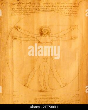 L'artista Leonardo da Vinci disegna "uomo Vitruviano" il disegno di Leonardo da Vinci di una figura maschile perfettamente inscritta in un cerchio e in un quadrato, Foto Stock