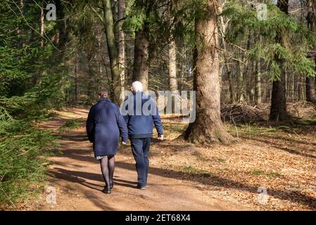 Coppia anziana nel bosco di Zwarte Dennen a Overijssel, Olanda Foto Stock