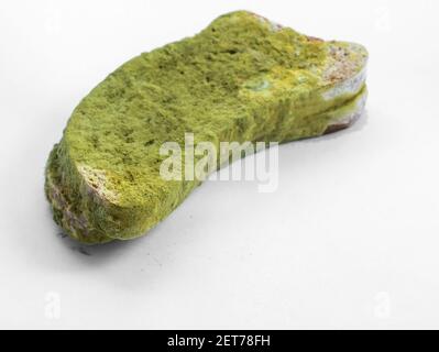 Un pezzo di pane coperto di muffa verde su un isolato di fondo bianco. Foto Stock