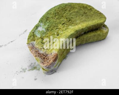 Un pezzo di pane coperto di muffa verde su un isolato di fondo bianco. Foto Stock