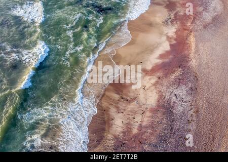 Uccelli vista della spiaggia di sabbia rossa a Swakopmund, Namibia Foto Stock