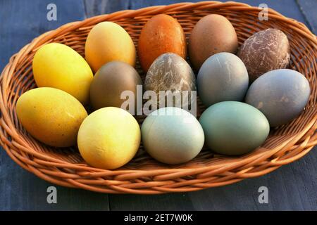 Raccolta uova di Pasqua nel cestino. Uova di Pasqua tinte naturali. Foto Stock