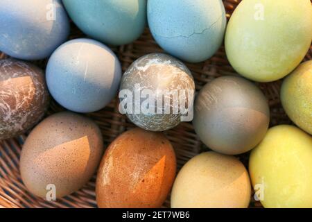 Uova di Pasqua tinte naturalmente sullo sfondo del cesto. Foto Stock