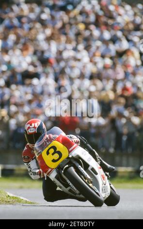 Randy Mamola (USA) Yamaha 500, stagione motociclistica 1984 Foto Stock