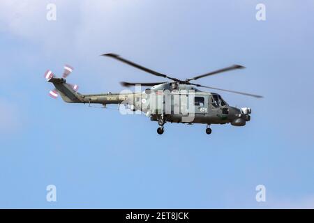 Elicottero Royal Navy Westland Lynx in volo sulla base aerea Kleine-Brogel. Belgio - 13 settembre 2014 Foto Stock