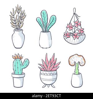 Raccolta di piante casalinghe disegnate a mano isolate su sfondo bianco. Set di piante decorative da interno e da ufficio in vaso. Illustrazione vettoriale con gruppi Illustrazione Vettoriale