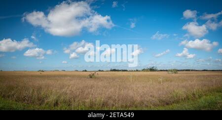 Splendido e naturale Parco Floridiana Foto Stock