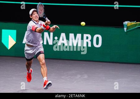 ROTTERDAM, PAESI BASSI - 1 MARZO: Kei Nishikori del Giappone durante il 48e ABN AMRO World Tennis Tournament a Rotterdam Ahoy il 1 marzo 2021 a Rot Foto Stock