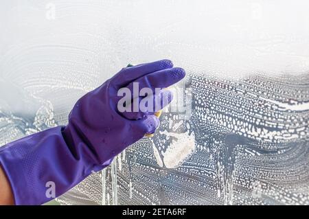 Mani donna in guanti blu lavando una finestra polverosa con una spugna. Foto Stock