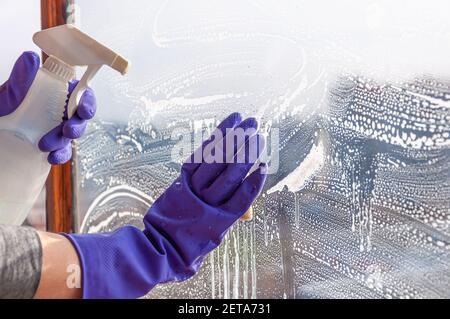 Primo piano delle mani di una donna in guanti di protezione blu. La donna lava una finestra sporca con spugna e flacone spray. Foto Stock
