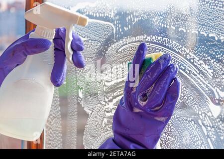 Primo piano delle mani di una donna in guanti di protezione blu. La donna lava una finestra sporca con spugna e flacone spray. Foto Stock