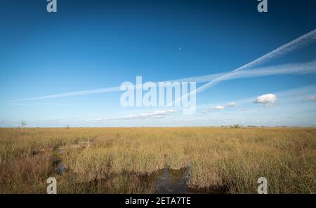 Splendido e naturale Parco Floridiana Foto Stock