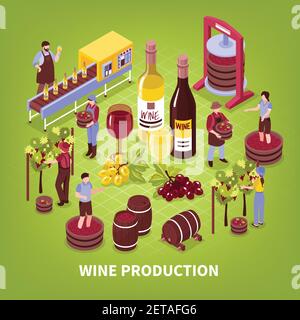 Produzione di vino composizione vigneto pressatura di uve imbottigliamento trasportatore e. invecchiamento in barili illustrazione vettoriale isometrica Illustrazione Vettoriale