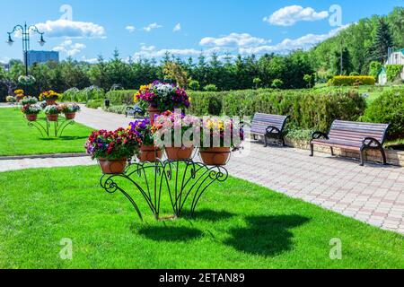 Vasi di fiori sul prato nel parco cittadino. Giornata primaverile a piedi nel parco Foto Stock