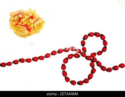 Ladybugs su uno sfondo bianco che si muovono per rendere il numero 8 con un fiore in cima allo sfondo. Concetto di Giornata Internazionale della Donna Foto Stock