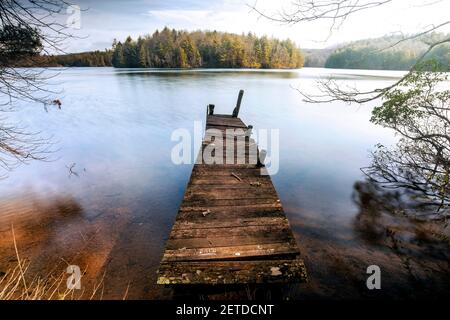 Vecchio molo in legno sul lago Julia - DuPont state Recreational Forest - Cedar Mountain, North Carolina, Stati Uniti Foto Stock