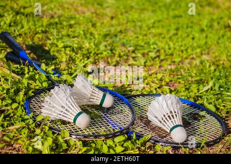 Due racchette di badminton e tre shuttlecocks giacciono sull'erba. Spazio per il testo. Il concetto di giochi sportivi all'aperto Foto Stock
