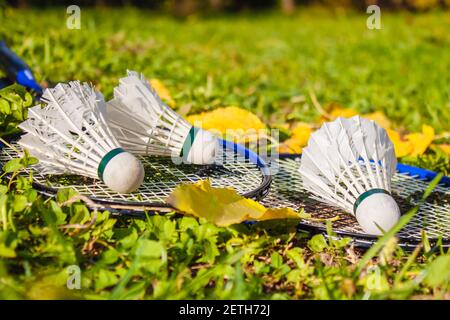 Due racchette di badminton con tre shuttleock giacciono sull'erba. Primo piano. Il concetto di giochi sportivi all'aperto Foto Stock