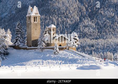 Campanile gotico e la chiesa di San Gian circondata da boschi innevati, Celerina, Cantone Graubunden, Engadina, Svizzera Foto Stock