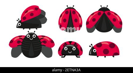 Impostare cute ladybug in posizioni diverse. Collezione di adesivi con coleotteri volanti punteggiati, illustrazione per bambini. Stile cartone animato. Illustrazione Vettoriale