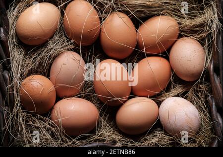 uova biologiche in cesto di vimini su sfondo di legno Foto Stock