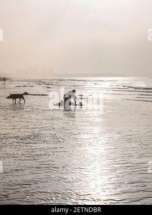 Brighton UK 2 marzo 2021 - UN digger esca nella nebbia sulla spiaggia di Brighton presto questa mattina come fa il la maggior parte di una marea extra bassa lungo la costa del Sussex . Il tempo è previsto per essere caldo e soleggiato dopo che la nebbia precoce è previsto per essere bruciato dal sole: Credit Simon Dack / Alamy Live News Foto Stock