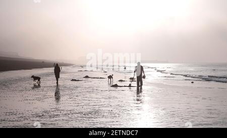 Brighton UK 2 marzo 2021 - UN digger esca nella nebbia sulla spiaggia di Brighton presto questa mattina come fa il la maggior parte di una marea extra bassa lungo la costa del Sussex . Il tempo è previsto per essere caldo e soleggiato dopo che la nebbia precoce è previsto per essere bruciato dal sole: Credit Simon Dack / Alamy Live News Foto Stock