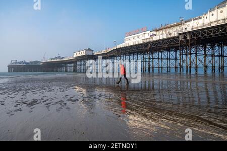 Brighton UK 2 marzo 2021 - UN camminatore sfrutta al massimo la bassa marea sulla spiaggia di Brighton vicino al molo, mentre il sole inizia a rompere attraverso la nebbia presto questa mattina: Credit Simon Dack / Alamy Live News Foto Stock