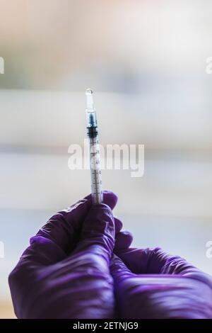 Dettaglio di una siringa da cui una goccia di farmaco esce tenuto da due mani con guanti viola Foto Stock
