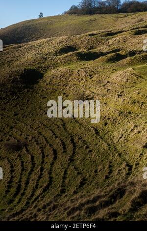 Vista dall'alto del versante orientale di Martinsell Hill Fort a Pewsey vale vicino a Marlborough, Wiltshire, North Wessex Downs AONB Foto Stock