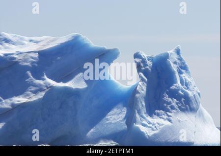 Blu Iceberg St Andrews Bay Georgia del Sud LA002259 Foto Stock
