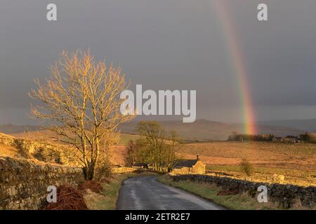 Un arcobaleno si illumina brillantemente durante una tempesta vicino a Steel Rigg e Peel Gap, il Muro di Adriano, Northumberland, Regno Unito Foto Stock