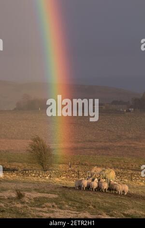 Un arcobaleno si illumina brillantemente durante una tempesta vicino a Steel Rigg e Peel Gap, il Muro di Adriano, Northumberland, Regno Unito Foto Stock