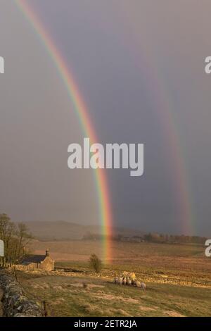 Un arcobaleno si illumina brillantemente durante una tempesta vicino a Steel Rigg e Peel Gap, il Muro di Adriano, Northumberland, Regno Unito Foto Stock