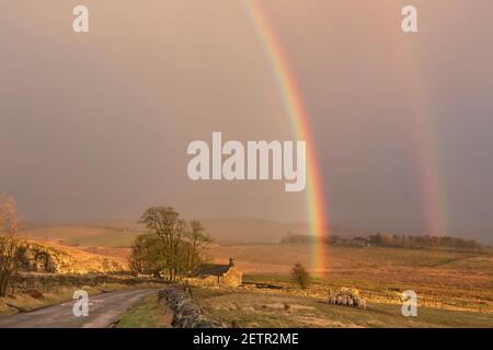 Un arcobaleno si illumina brillantemente durante una tempesta vicino a Steel Rigg e Peel Gap, il Muro di Adriano, Northumberland, Regno Unito Foto Stock