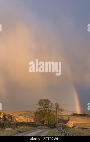 Un arcobaleno si illumina brillantemente durante una tempesta vicino a Steel Rigg e Peel Gap, il Muro di Adriano, Northumberland, Regno Unito Foto Stock