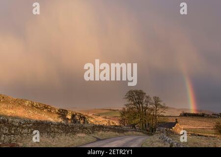 Un arcobaleno si illumina brillantemente durante una tempesta vicino a Steel Rigg e Peel Gap, il Muro di Adriano, Northumberland, Regno Unito Foto Stock