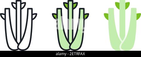 Icona del sedano. Icona di colore lineare, contorno, forma, contorno isolato su bianco. Linea sottile. Design moderno. Gruppo vettoriale. Illustrazioni di verdure. Illustrazione Vettoriale