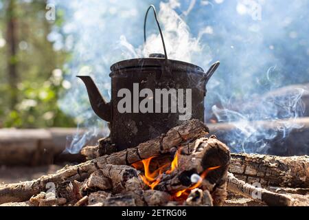 bollitore bollente con bevanda calda si trova su un fuoco nel fumo, in una foresta. Foto Stock