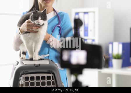 Veterinario donna che tiene gatto e filmare in clinica Foto Stock