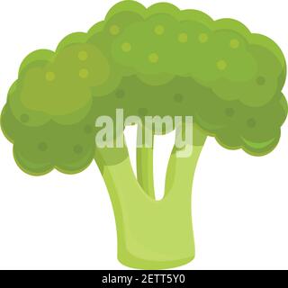 Vegano icona di broccoli. Cartoon di broccoli vegan icona vettoriali per il web design isolato su sfondo bianco Illustrazione Vettoriale