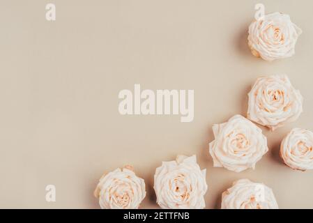 Sfondo primavera. Fiori di rosa su sfondo beige. Foto Stock