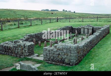 Resti di una fortificazione difensiva romana conosciuta come il Muro di Adriano, per un totale di circa 118 km con numero di fortezze, castelli e torrette. Tempio di Mitra dal forte romano ‘Brocolitia’ (Carrawburgh). Scansione di archivio da un vetrino. Settembre 1972. Foto Stock