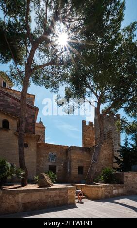 Il sole si illumina attraverso gli alberi che illuminano un cortile dietro la chiesa medievale di San Jaume nel centro storico di Alcudia, Maiorca Foto Stock