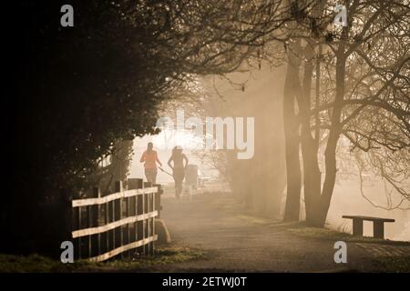 Due donne anonime che fanno jogging nel parco nebbia nebby mattina presto dawn con il cane come il sole alza raggi di luce attraverso alberi in silhouette tranquilla e panoramica Foto Stock