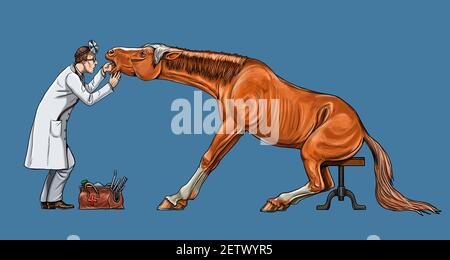 Veterinario esamina il cavallo. Dentista per il cavallo. Disegno digitale. Foto Stock