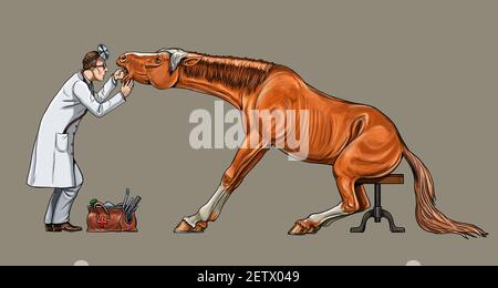 Veterinario esamina il cavallo. Dentista per il cavallo. Disegno digitale. Foto Stock