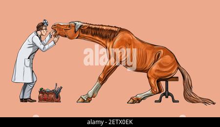 Veterinario esamina il cavallo. Dentista per il cavallo. Disegno digitale. Foto Stock