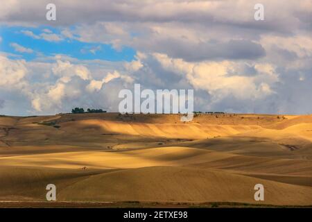 Paesaggio collinare con campo di grano e casali, Italia. Foto Stock