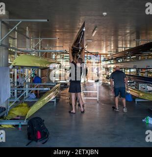 Linz, Austria, Sabato, 31 Agosto 2019, Campionato del mondo di canottaggio FISA, Area Parco delle barche, [credito obbligatorio; immagini Peter SPURRIER/Intersport] 09:04:23 31.08.19 Foto Stock